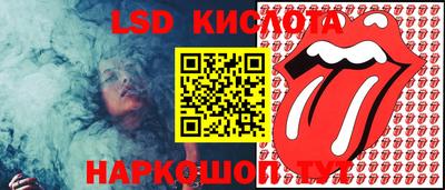 дурь Берёзовский