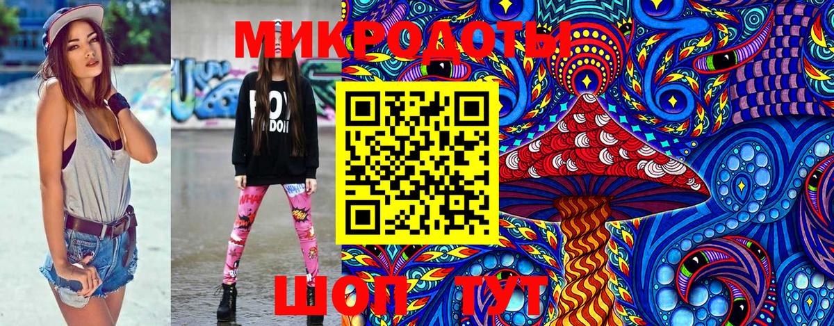 Псилоцибиновые грибы Cubensis Новокуйбышевск