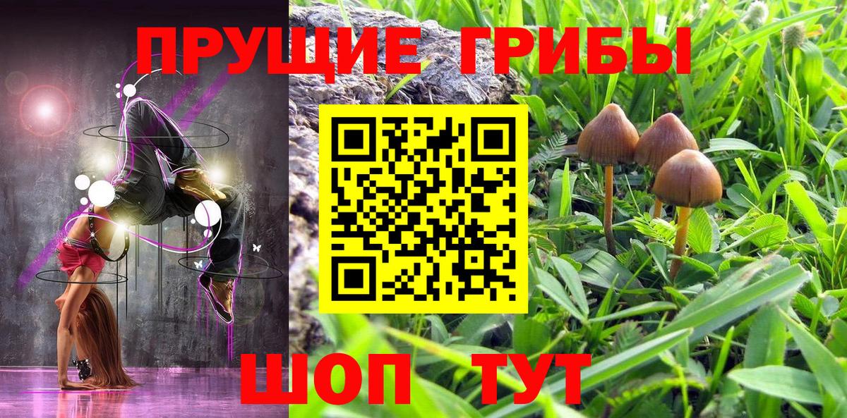 Псилоцибиновые грибы Cubensis  сколько стоит  Новокуйбышевск  Вход с VPN 
